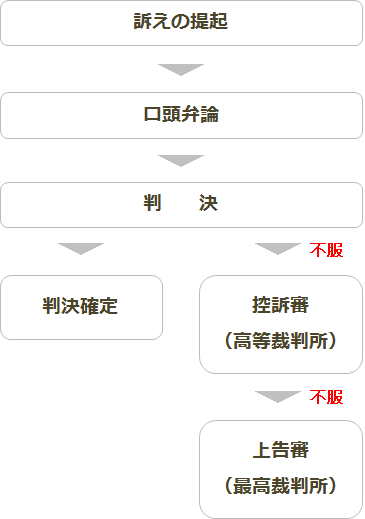 訴えの提起　口頭弁論　判決