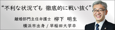 弁護士柳下明生,やなぎしたあきお,神奈川県弁護士会所属